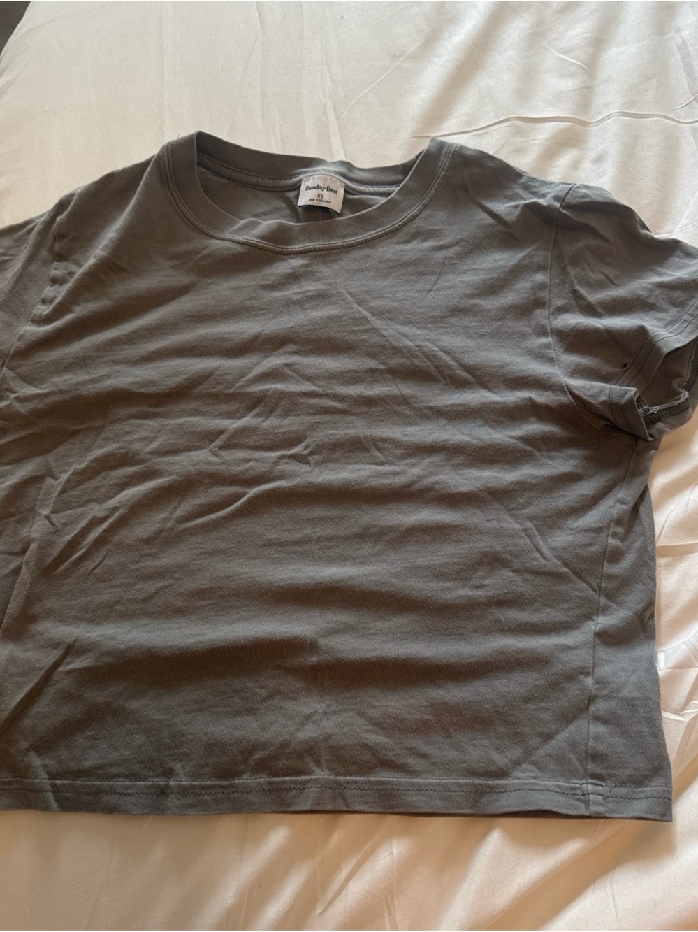Aritzia Short-Sleeve Crewneck Tee - Olive Gray